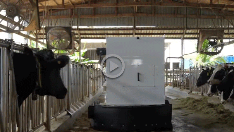 乳牛界也有專屬送餐機器人