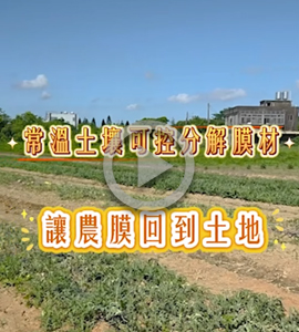 西瓜田裡的黑色農膜，最後竟然會「自己消失」？